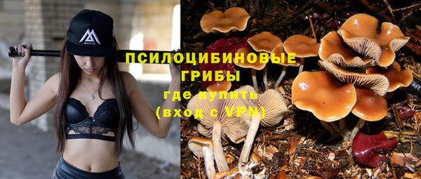 соль курить ск Алексеевка