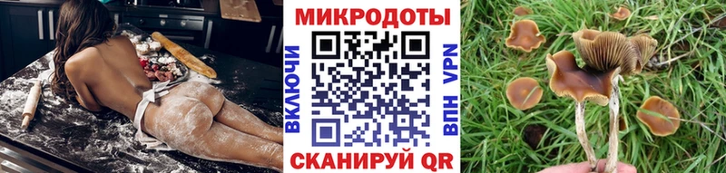 Псилоцибиновые грибы мухоморы  купить наркоту  Исилькуль 